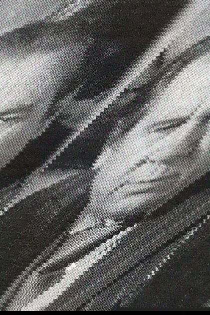 Nikola Todev