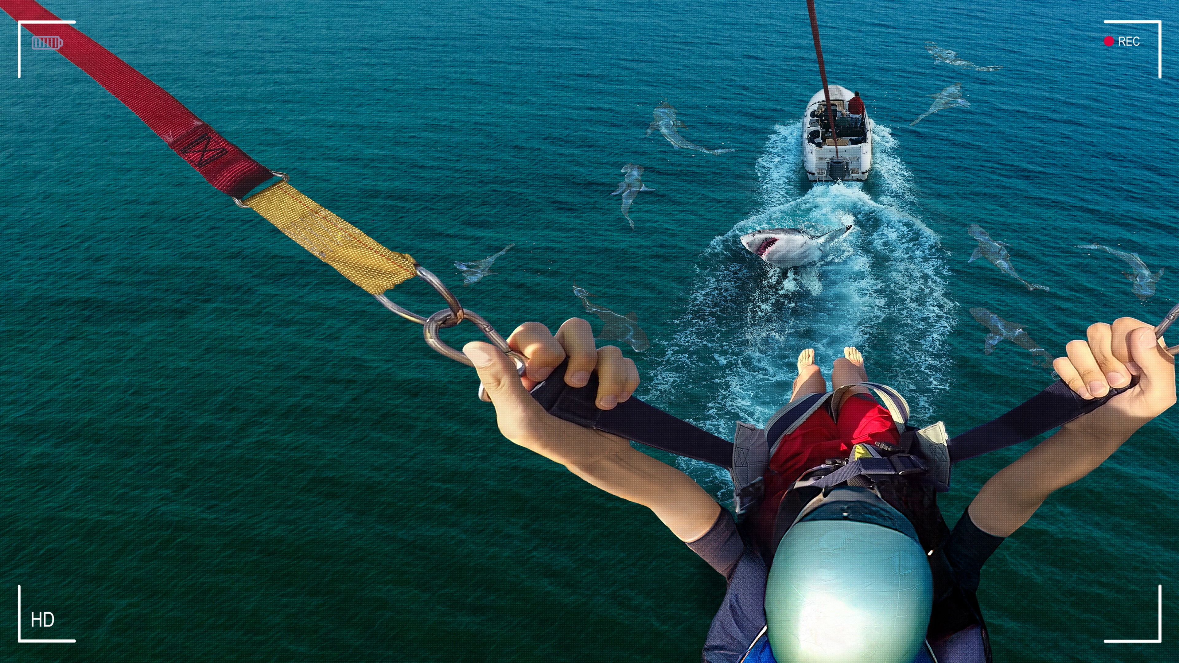 Caught! Sharks Strike Back