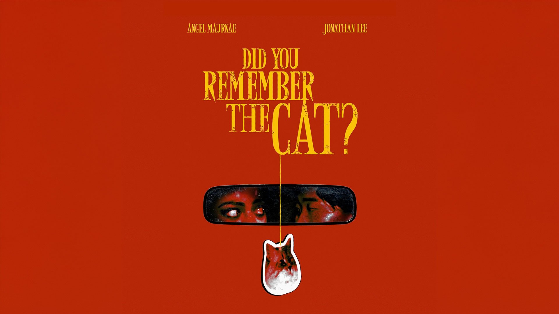 DID YOU REMEMBER THE CAT?