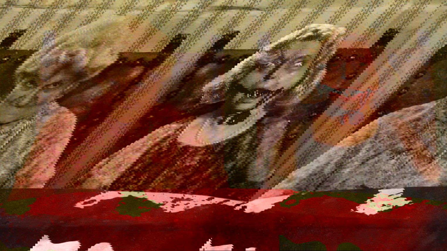 Rabid Grannies