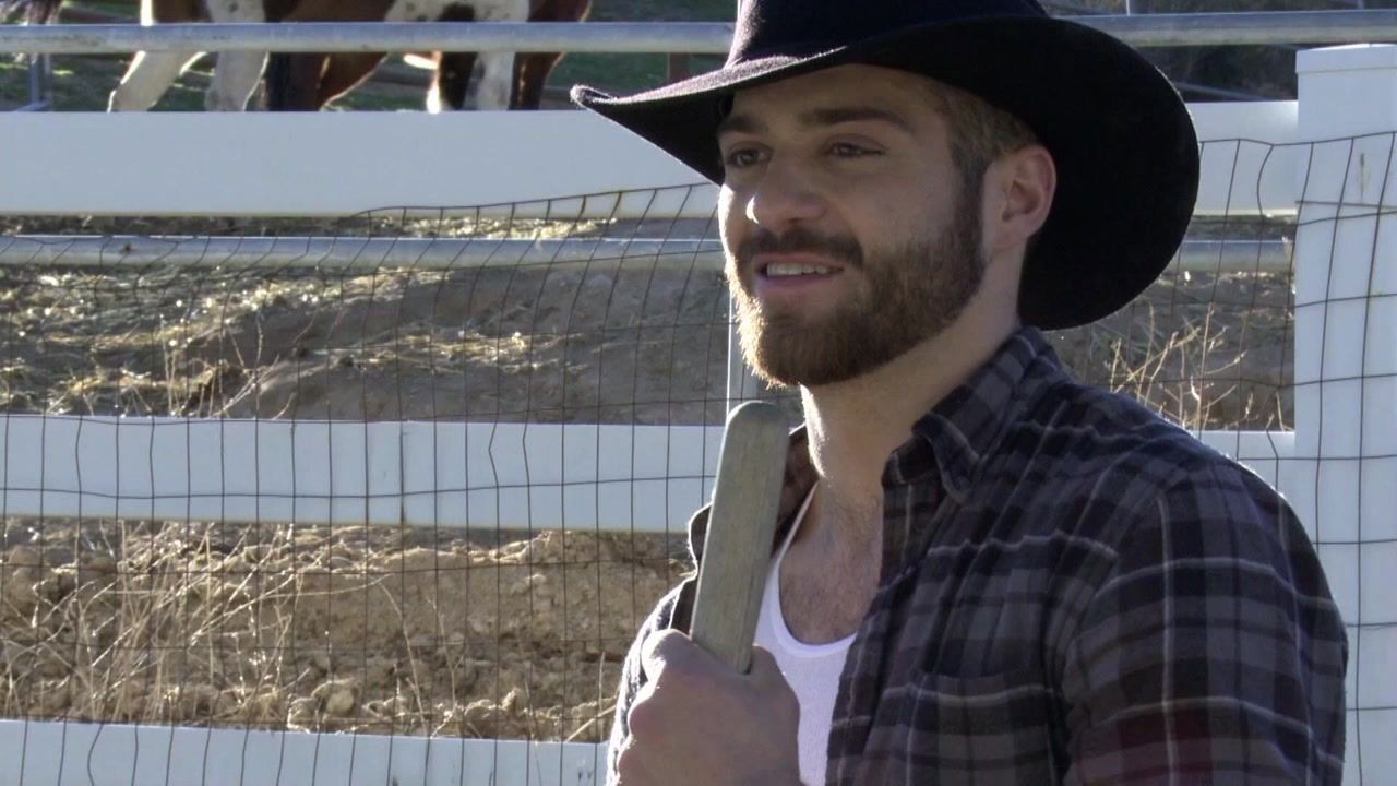 Tales Of Victorian Lust: Power And Struggle