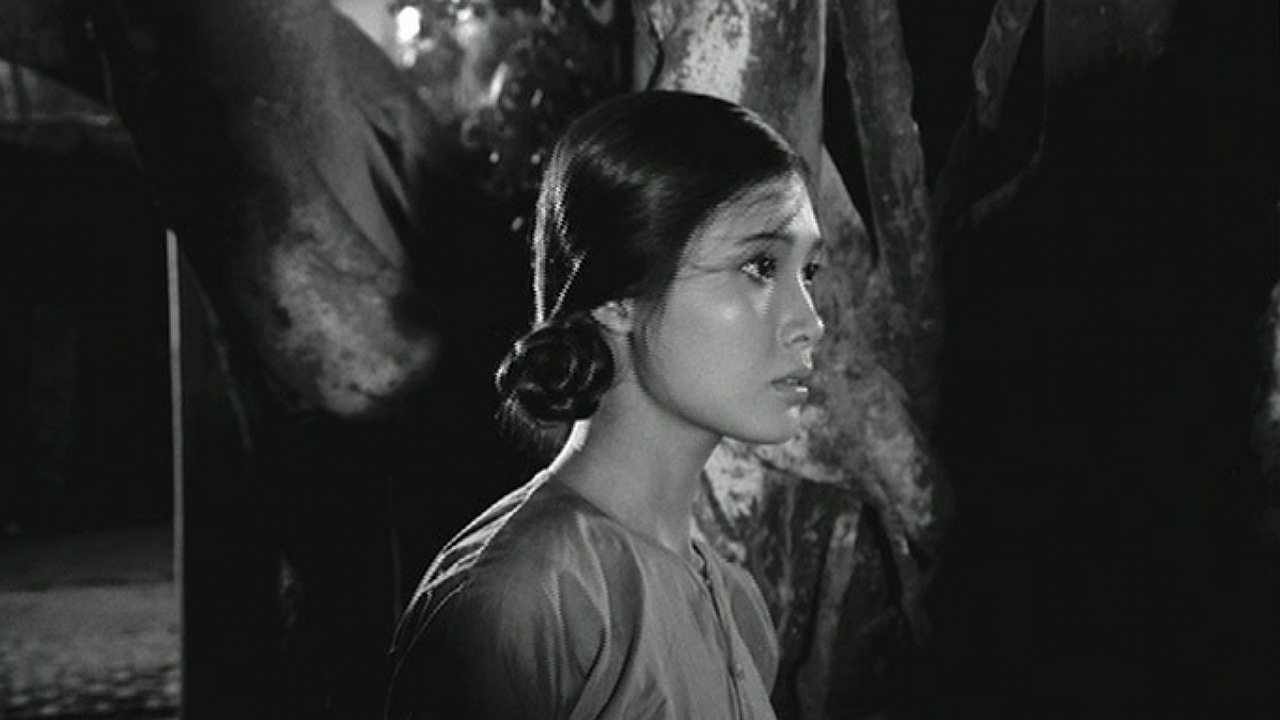 When the Tenth Month Comes