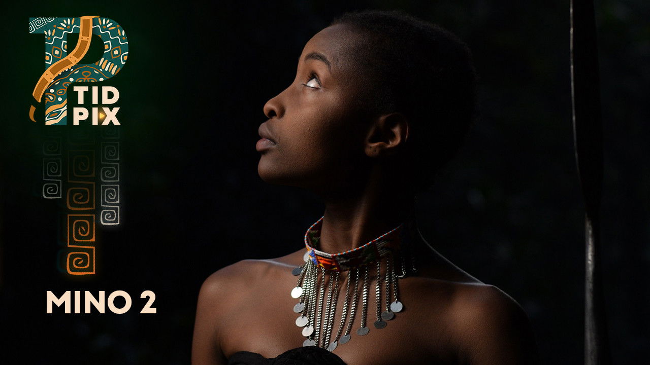 Mino 2