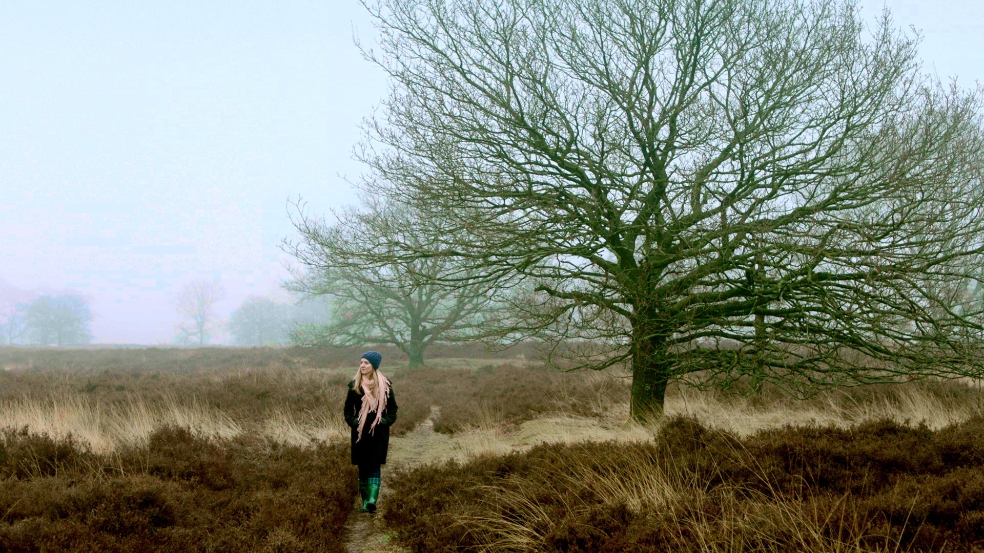 Wanderlust