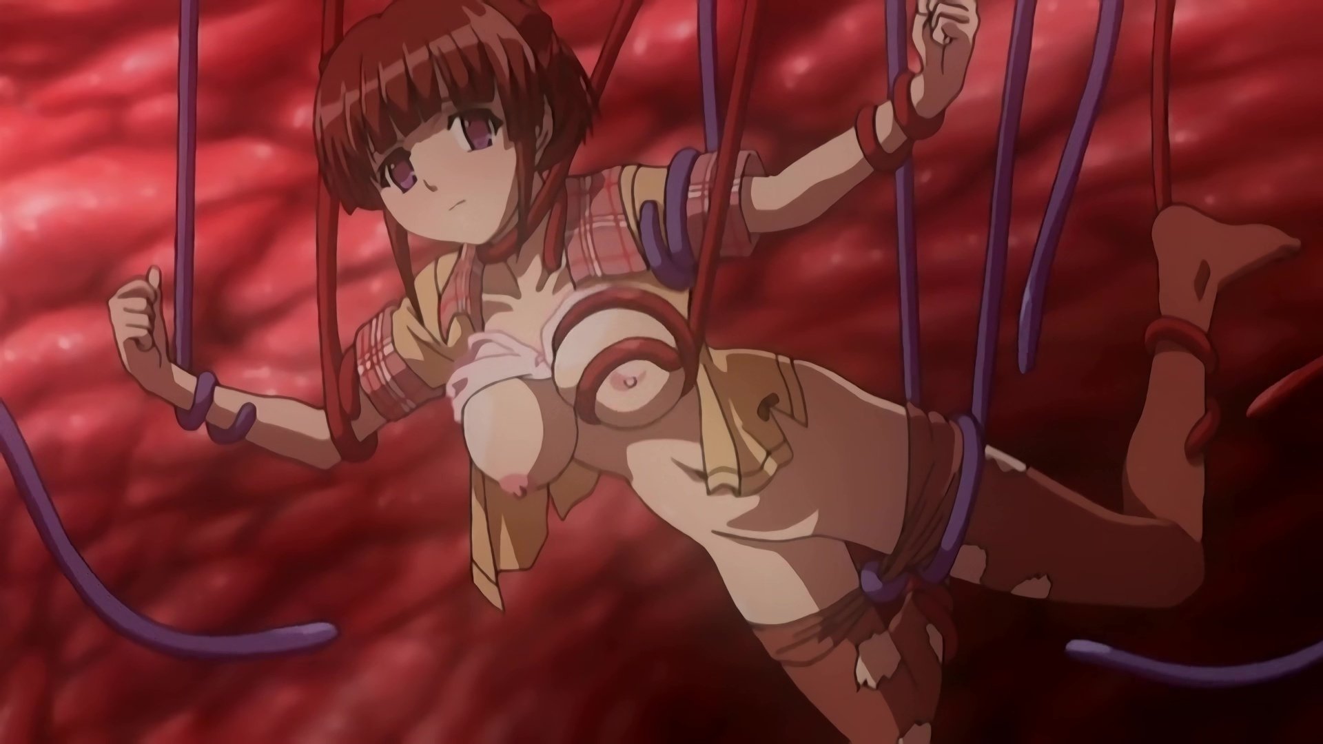 The Devil's Virgins | In'youchuu Shoku