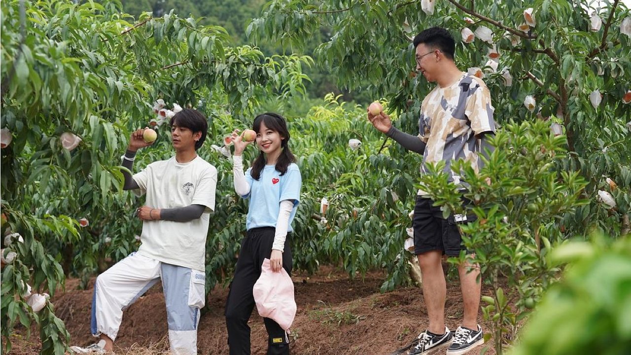 生活有点“田”