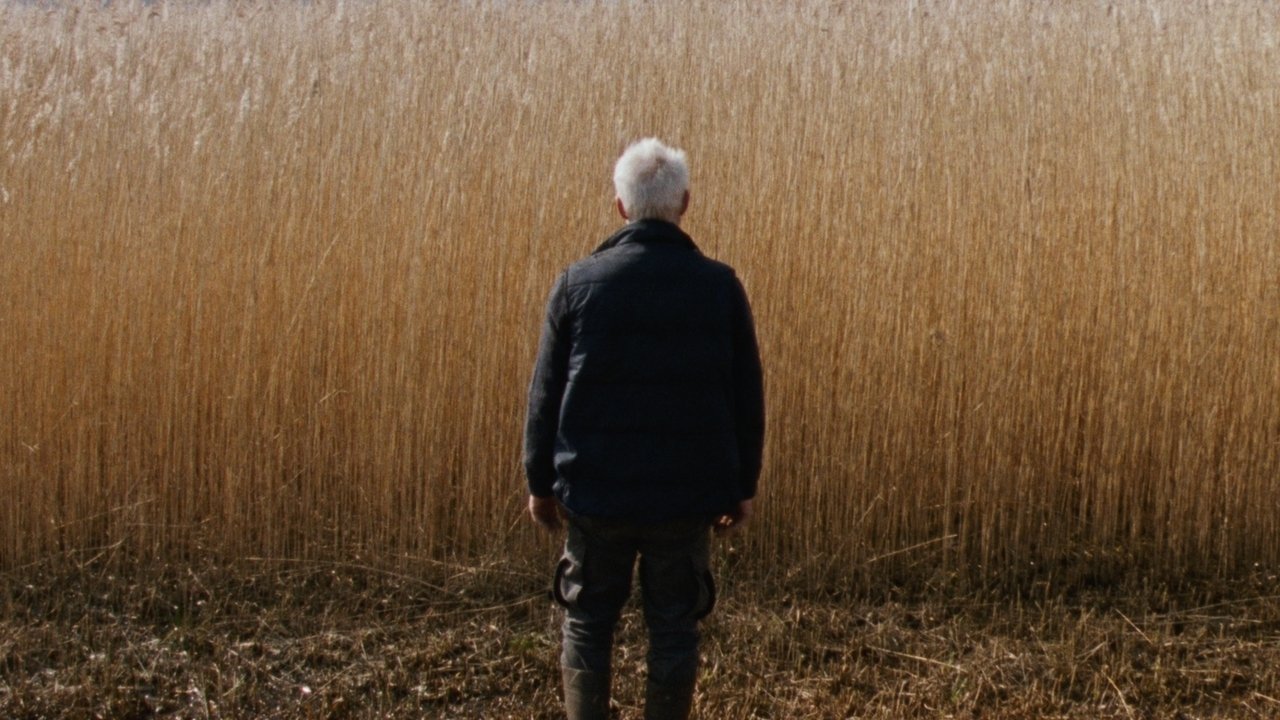 Reedland