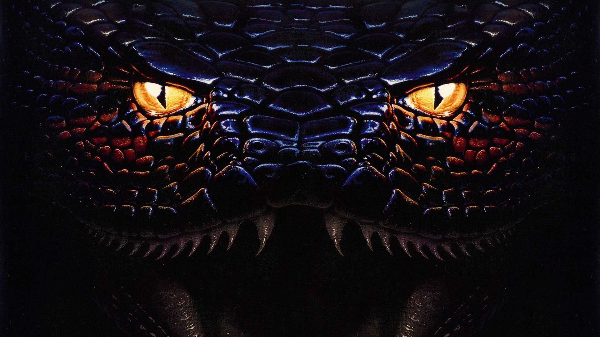 Anaconda