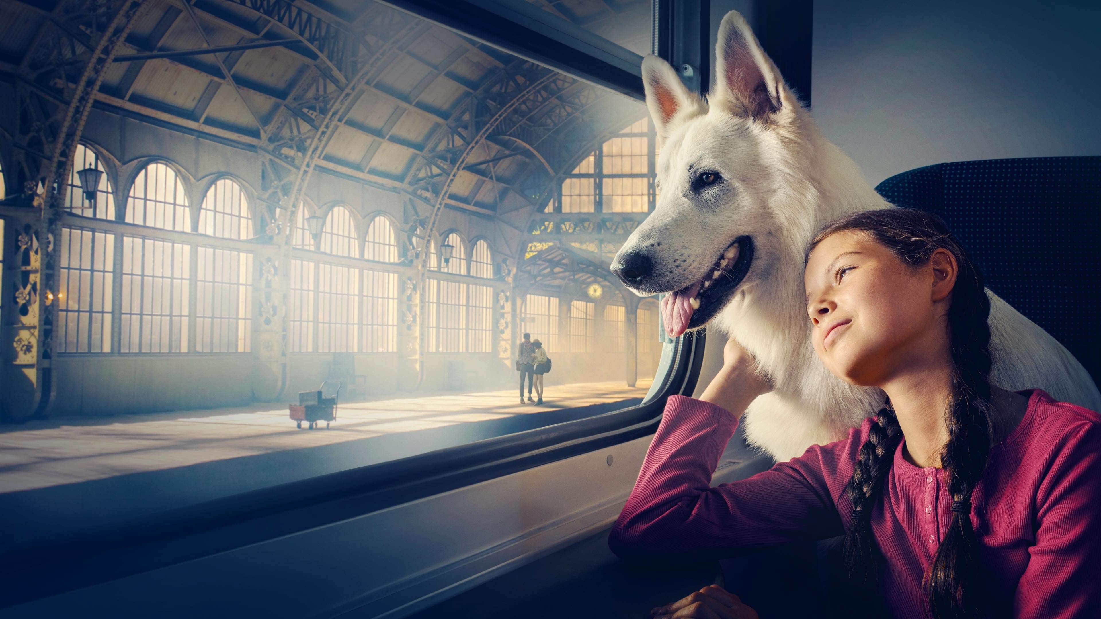 The Travelling Dog