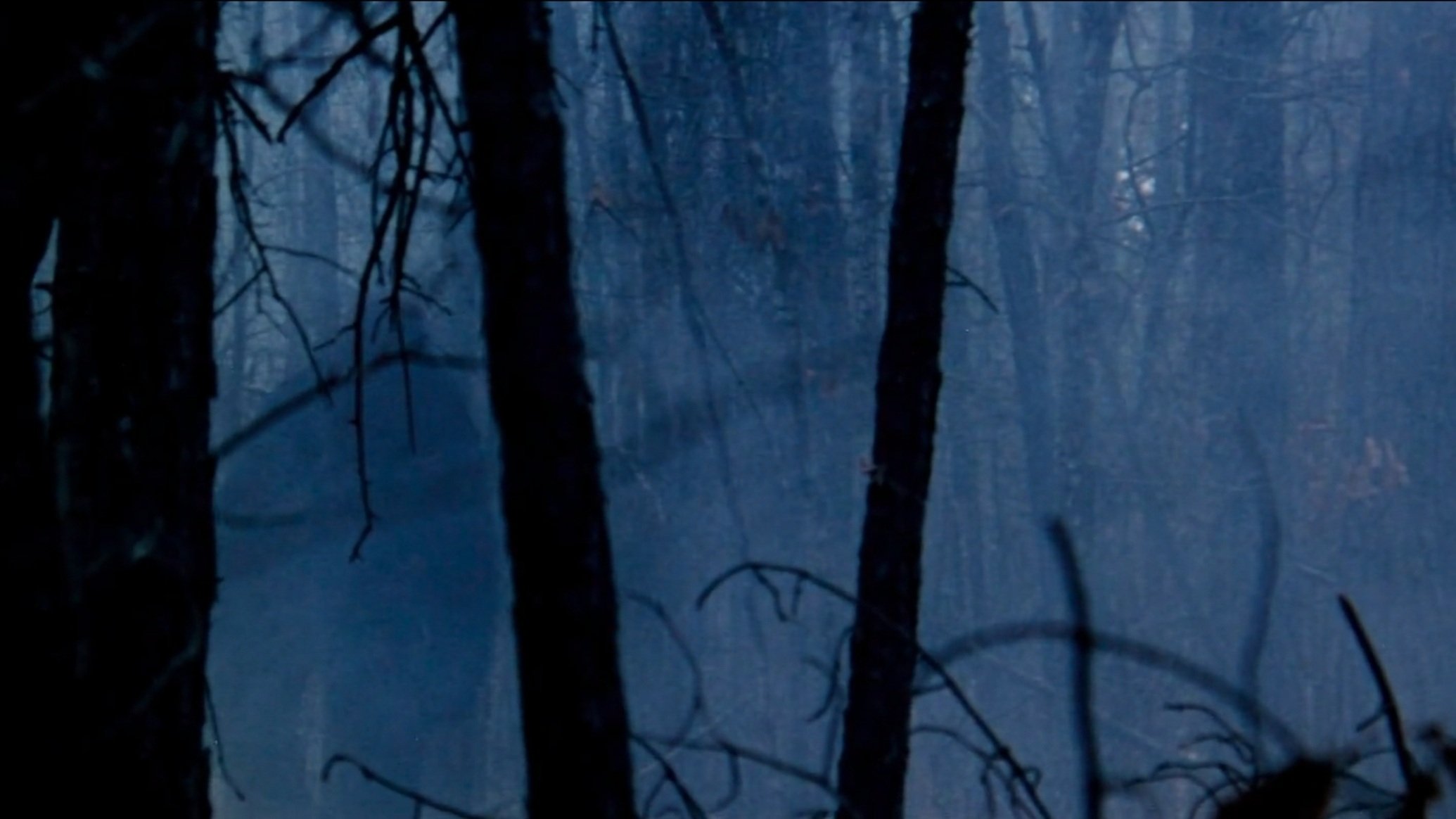 The Legend of Boggy Creek