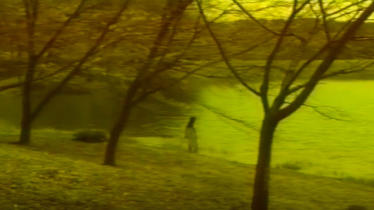 Sensual Forest Beauty