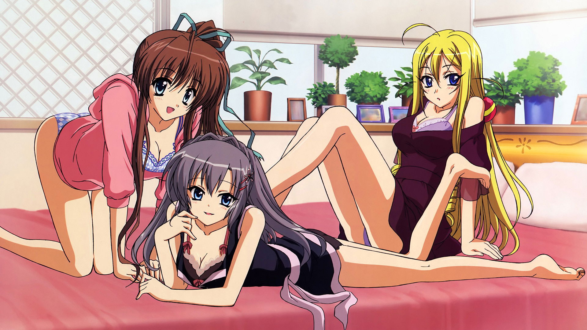 The Hill Dyed Rose Madder