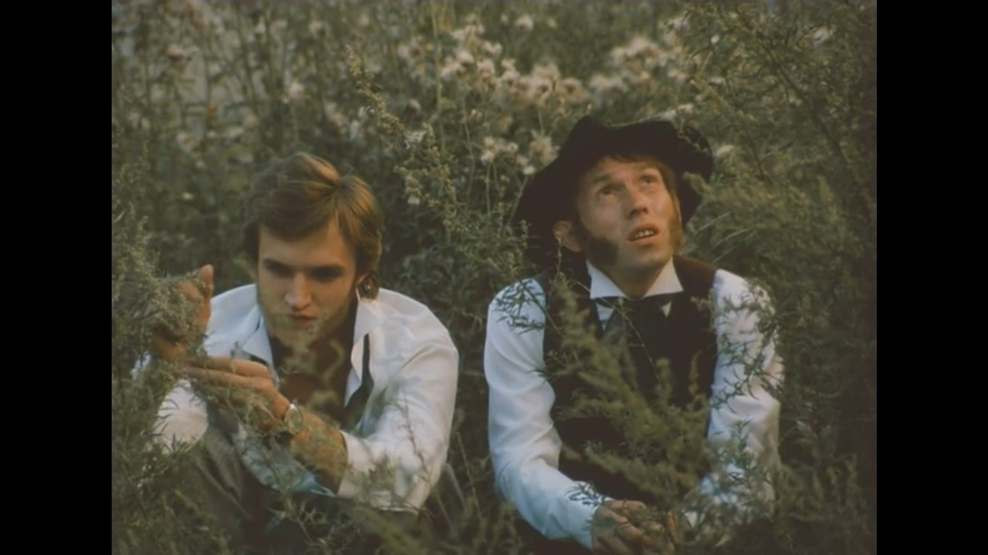 Sideburns
