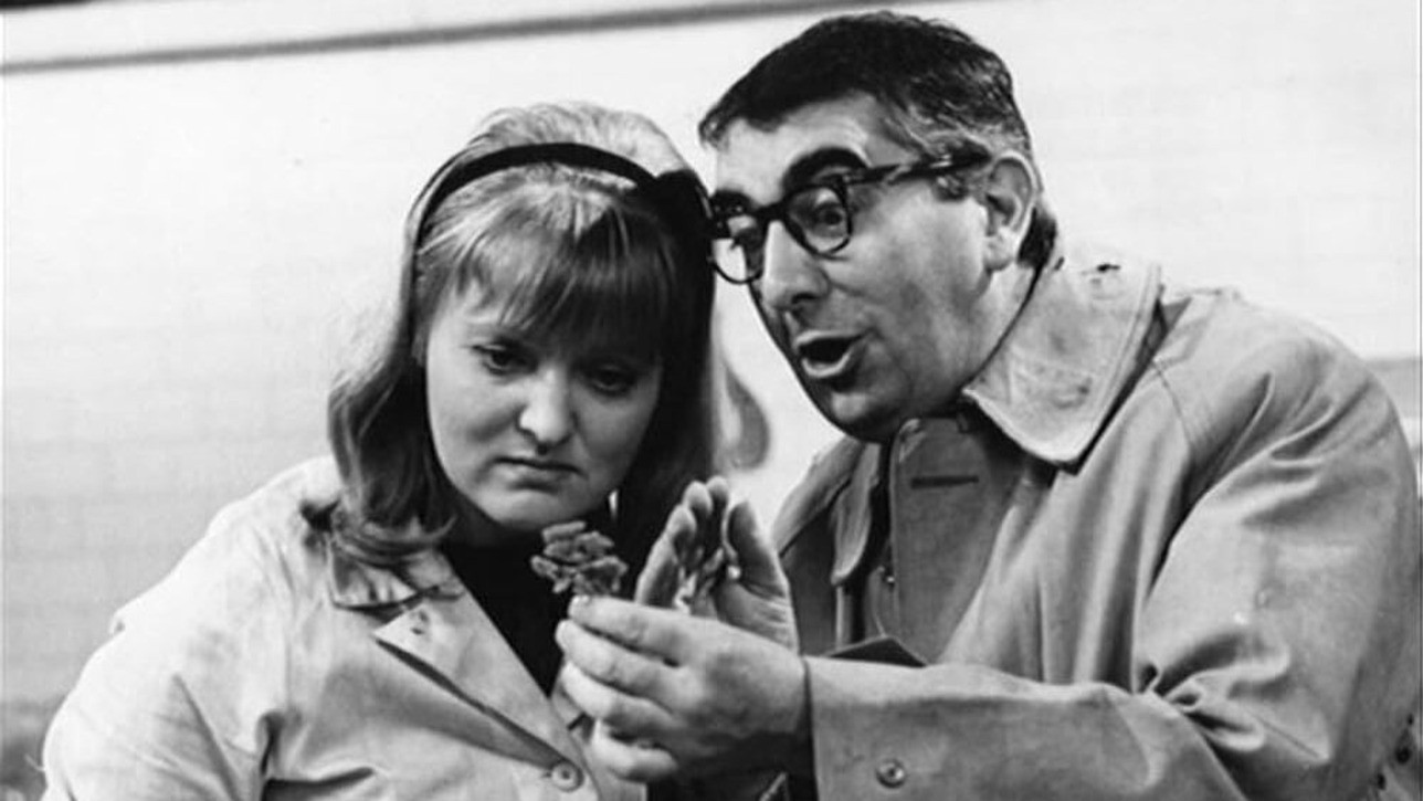 Come Buttercup, Come Daisy, Come......?