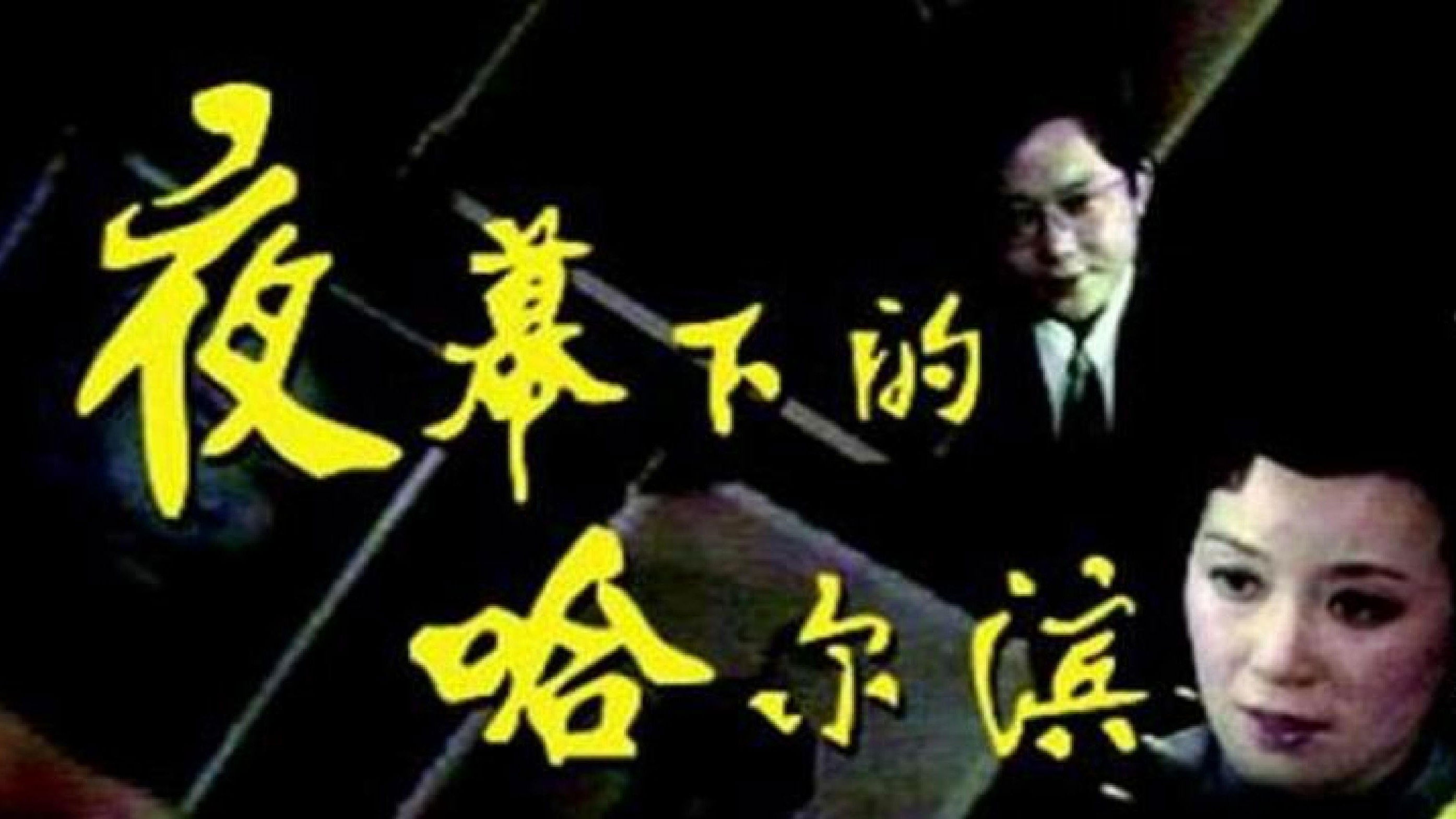 夜幕下的哈尔滨