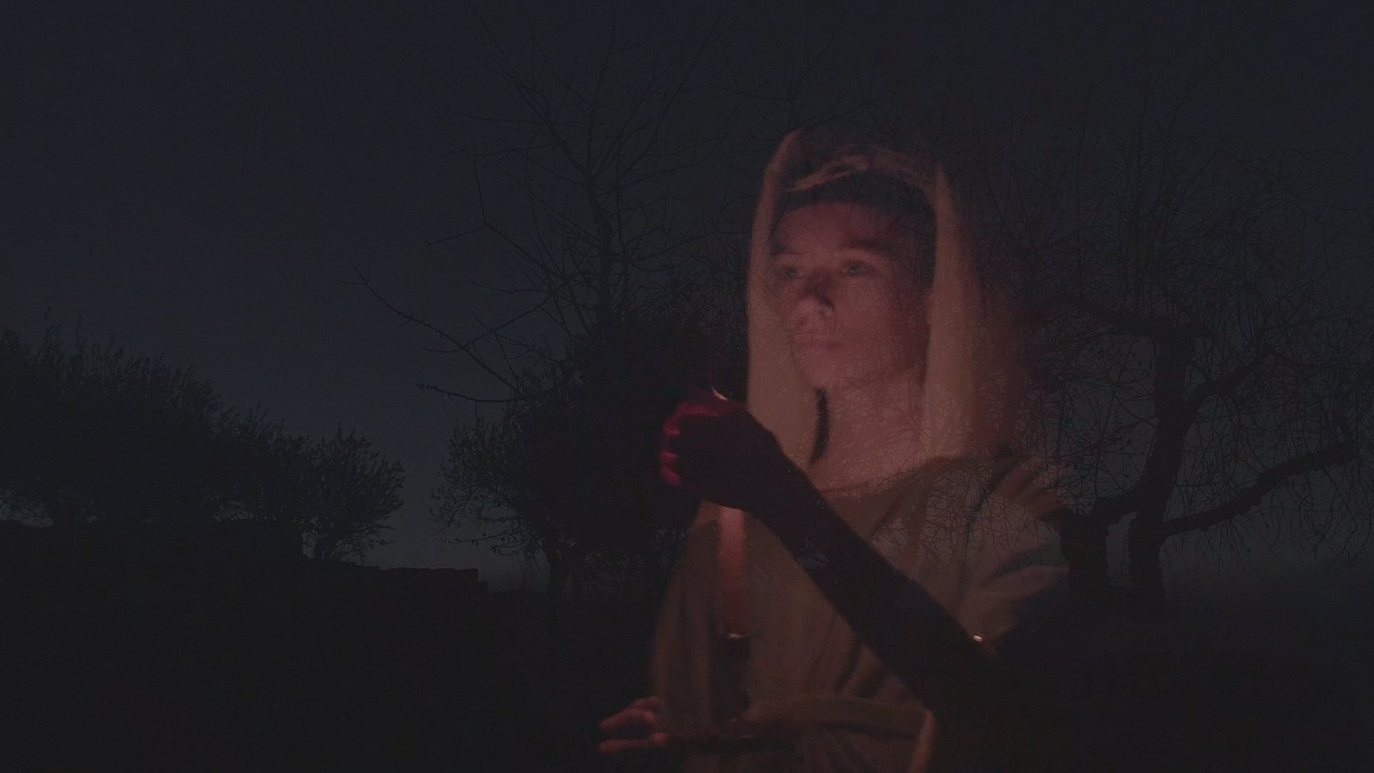 The Night of the King