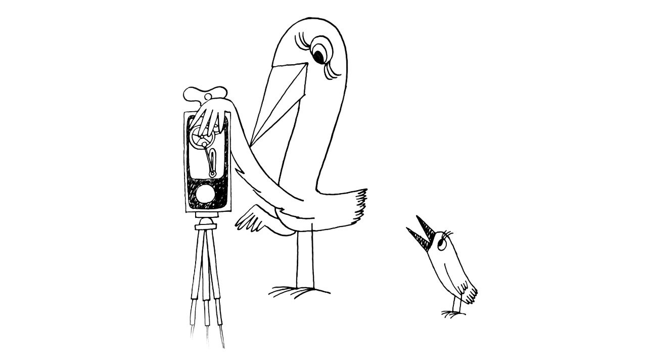 Strange Birds