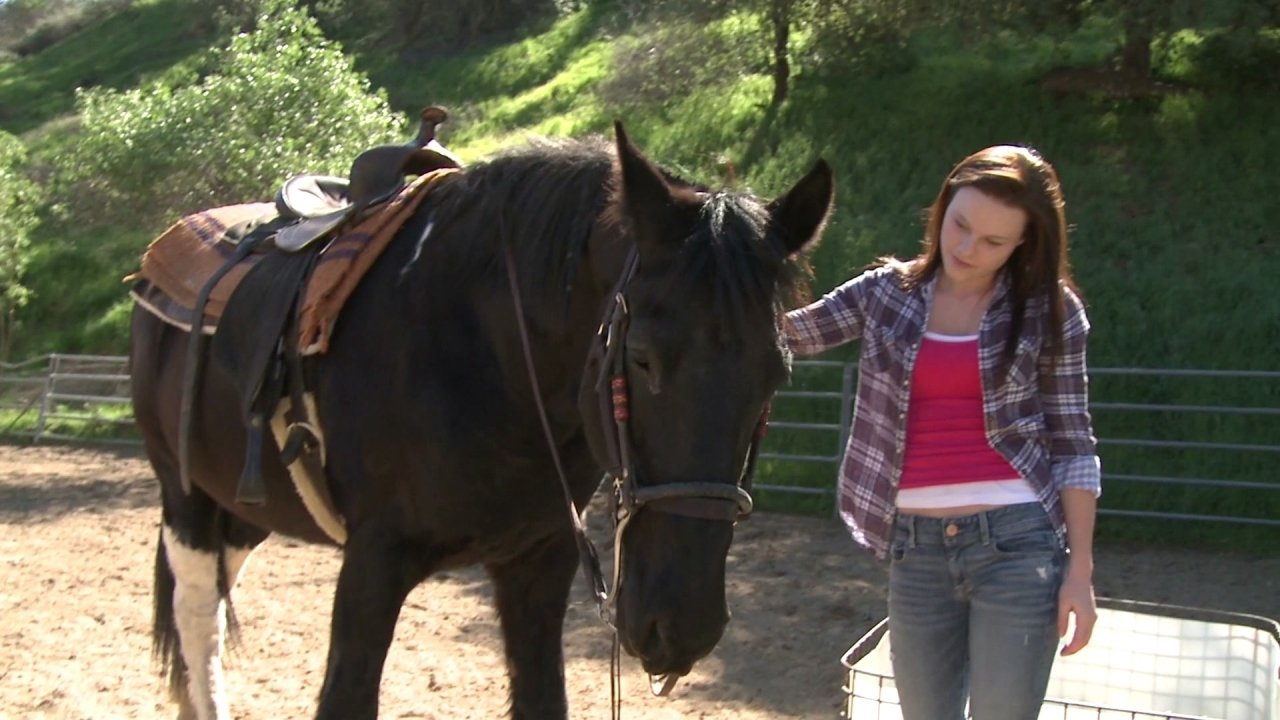 A Talking Pony!?!