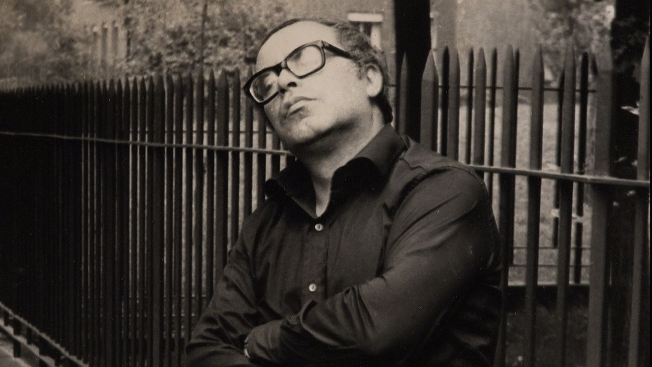 Un milanese a Milano - Walter Valdi