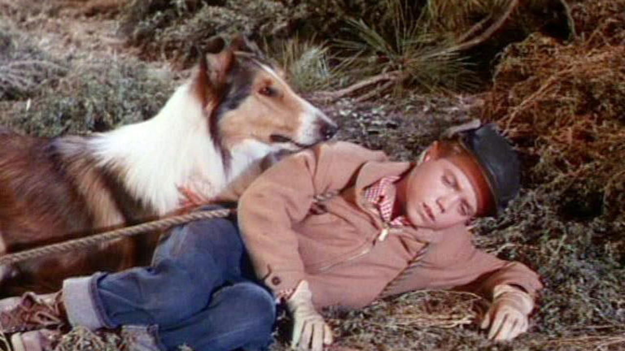 Lassie's Greatest Adventure