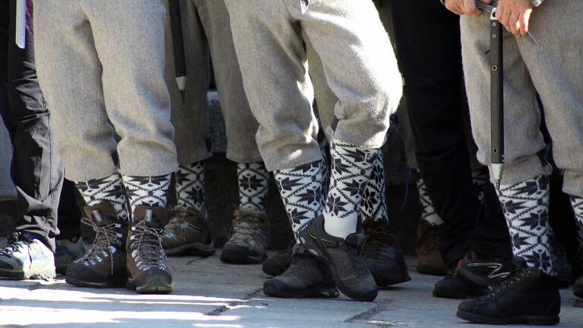 The Companions Of The Void