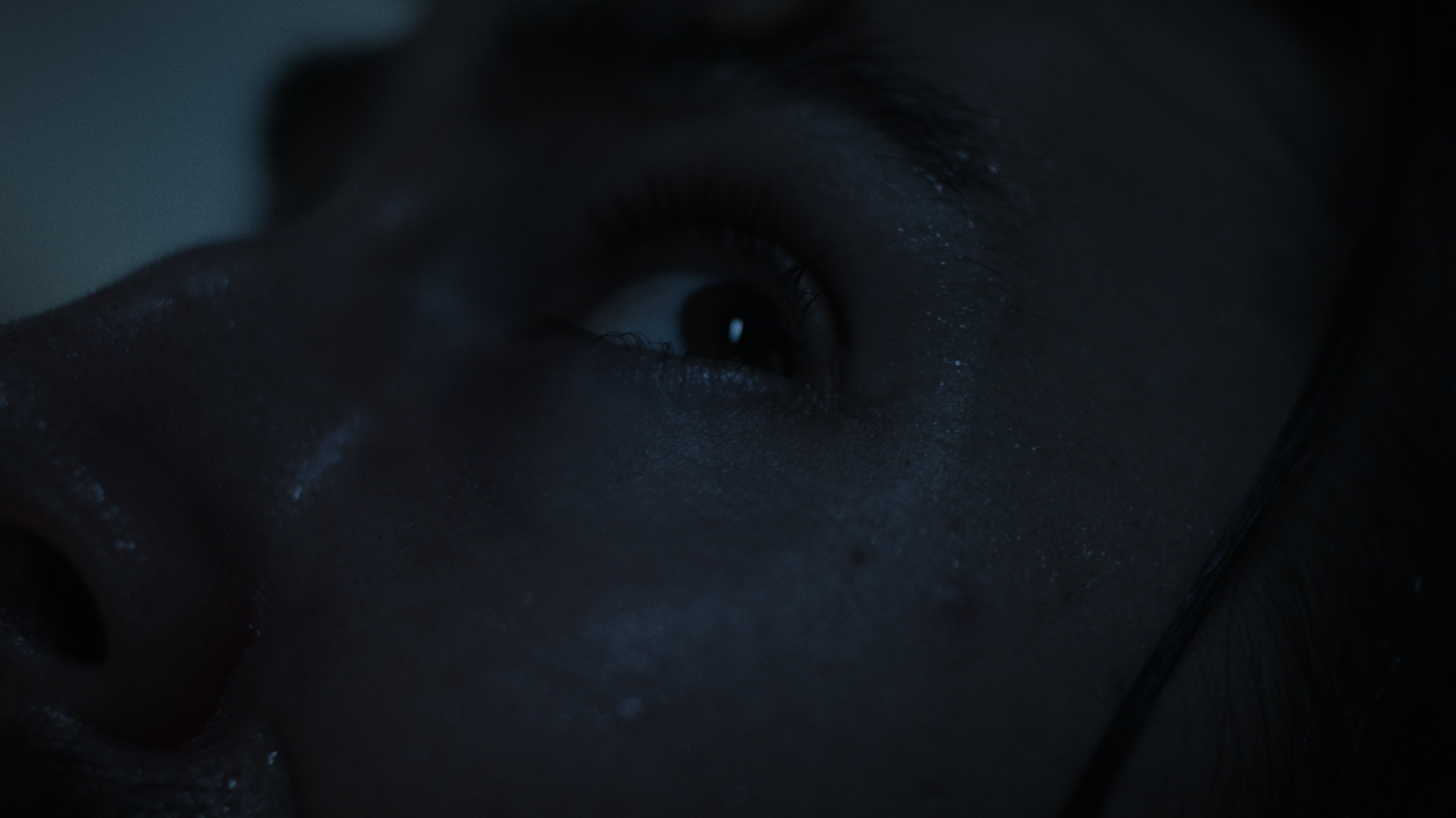 The Dysphoria