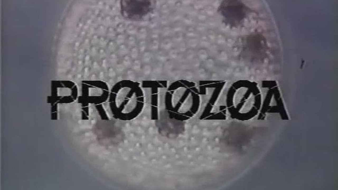 Protozoa