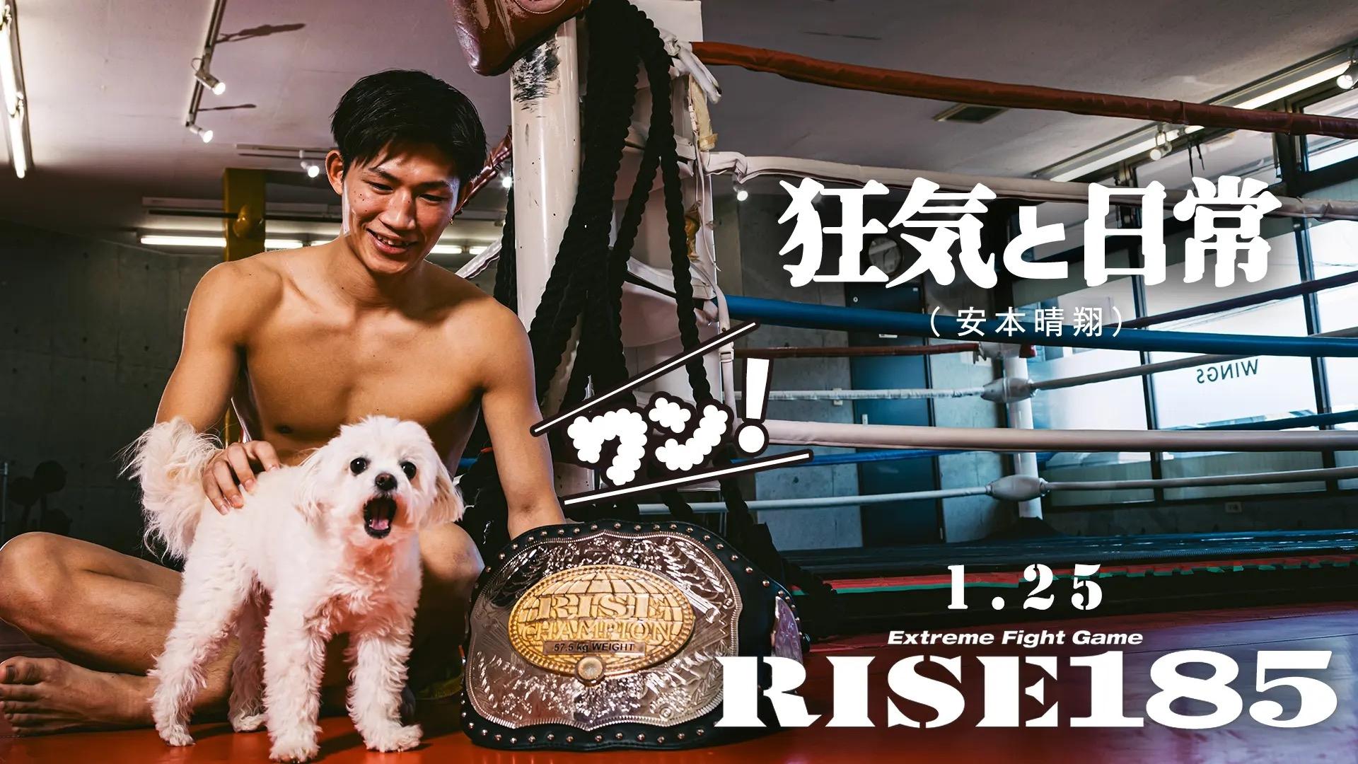 RISE 185