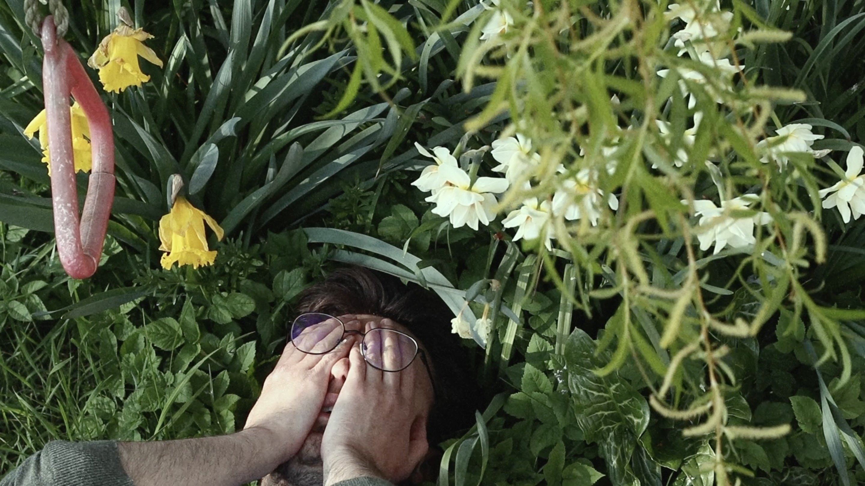 Garden Story