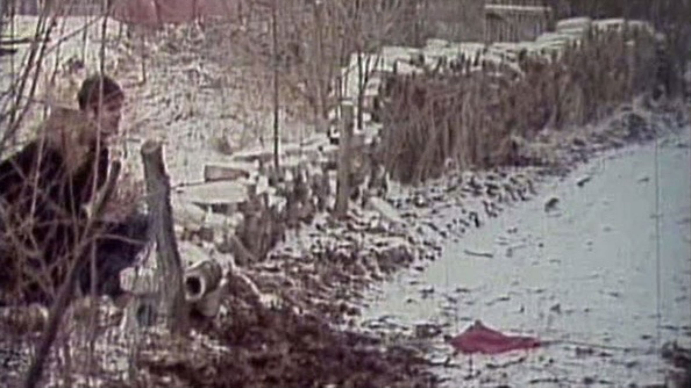 Paradise. An Imperialist Tragicomedy