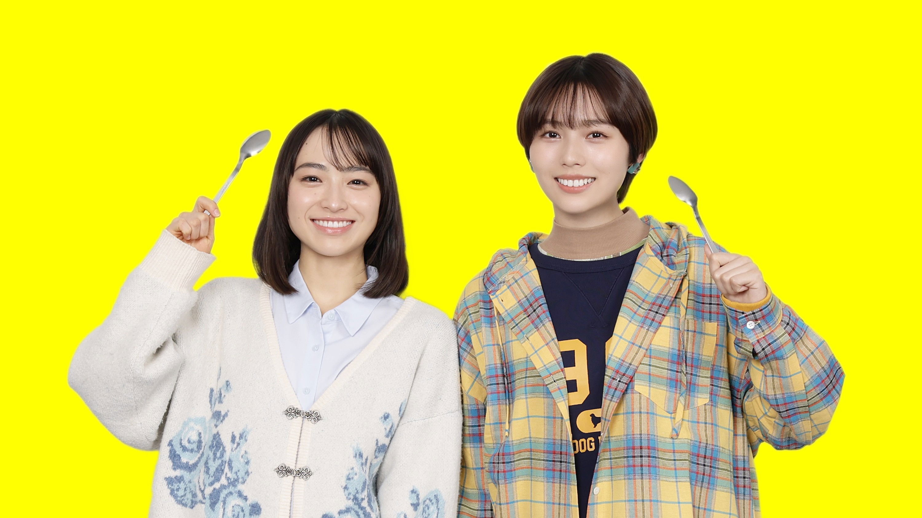 Kyou mo Curry desu ka?