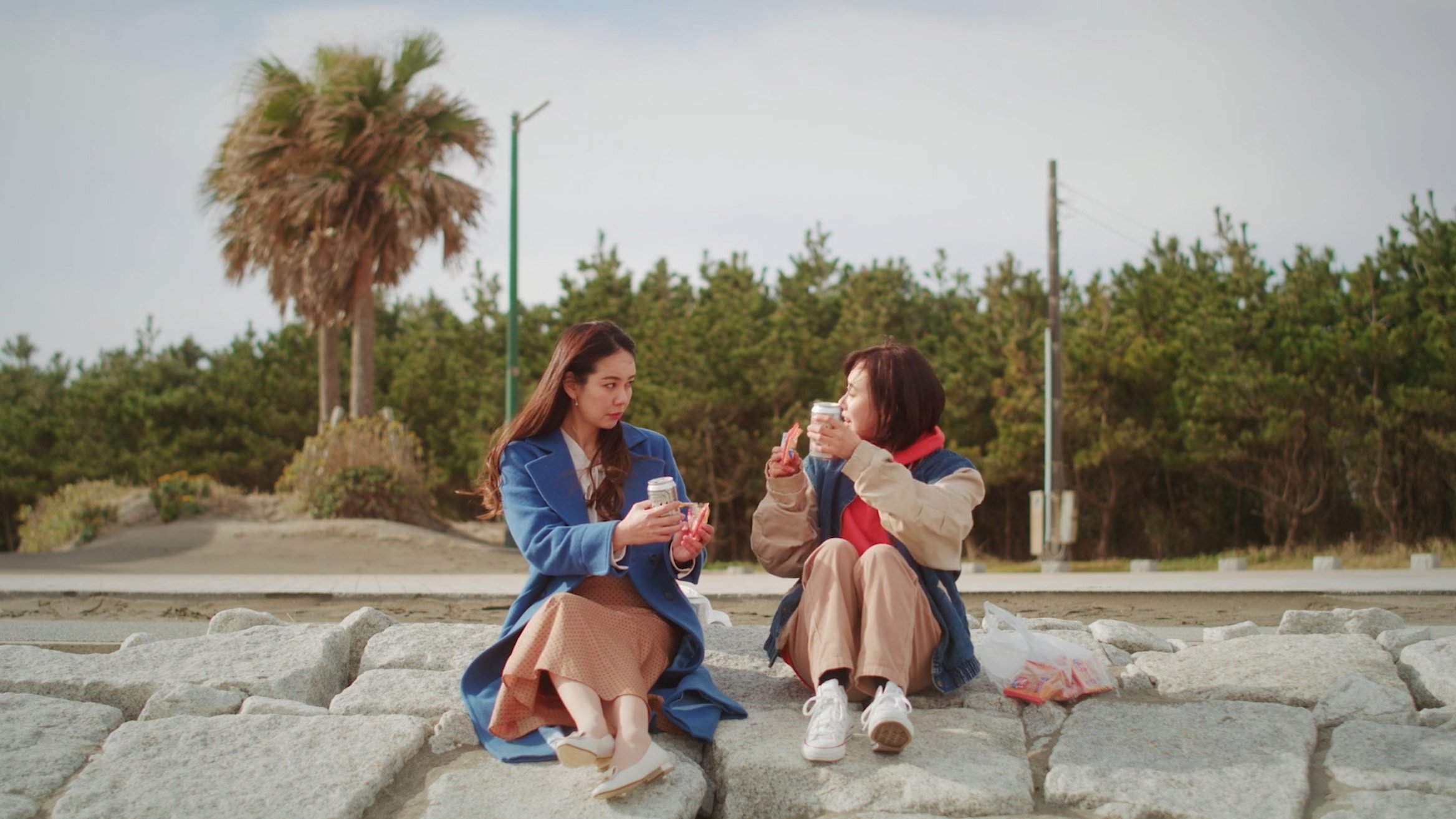 Flowers Blooming on the Shore