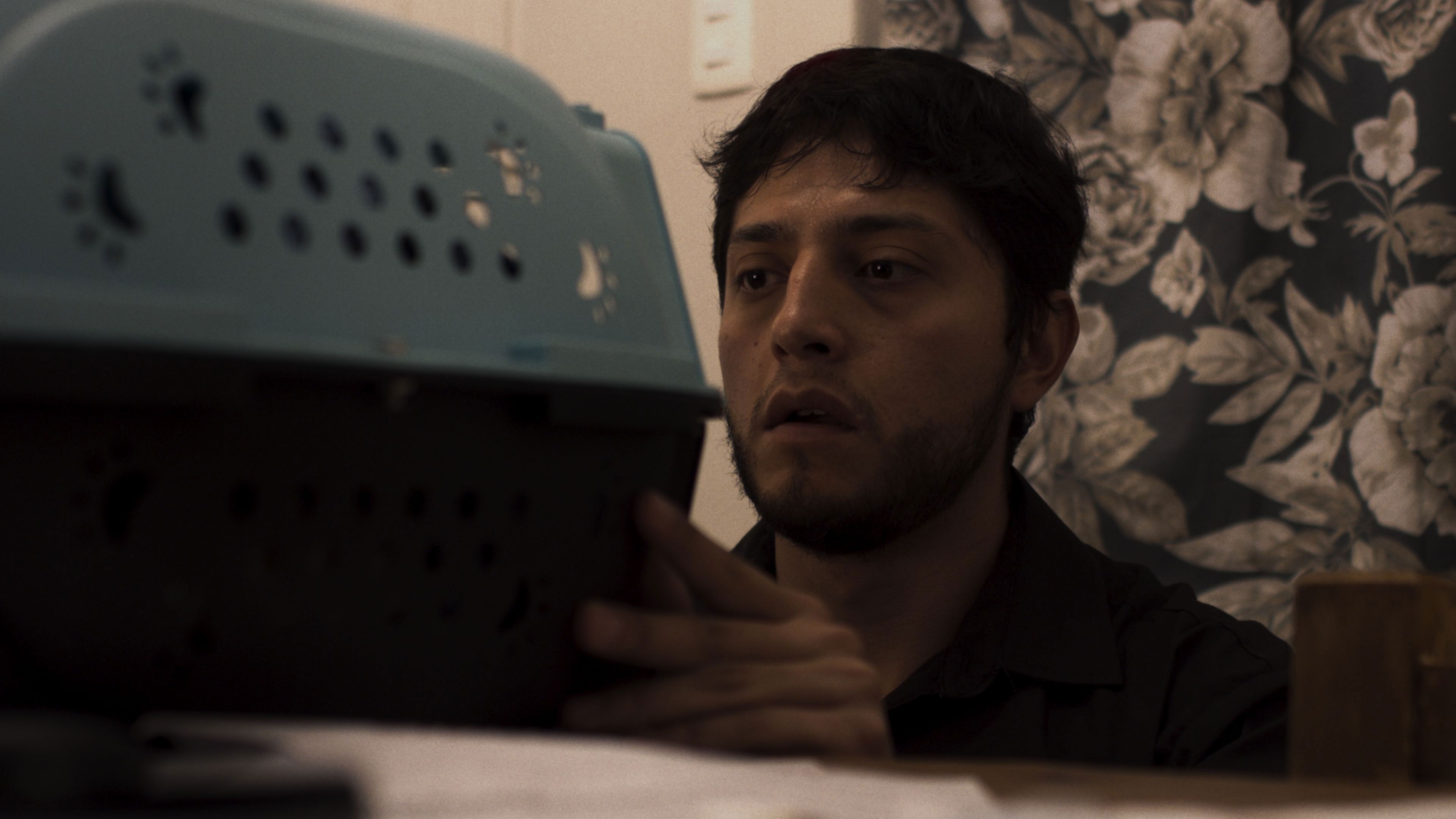 I Plead Time Does Not Take You Away