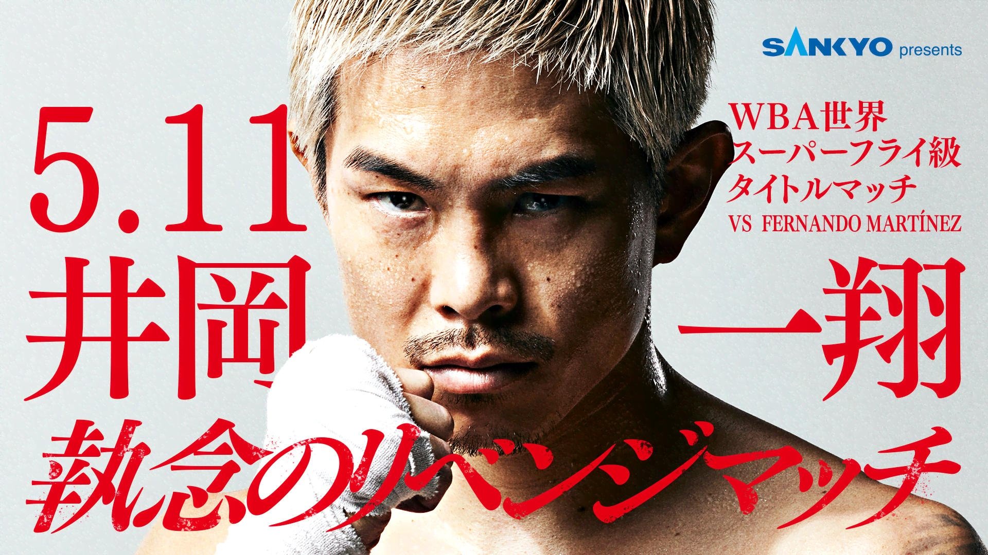 LIFETIME BOXING FIGHTS 27