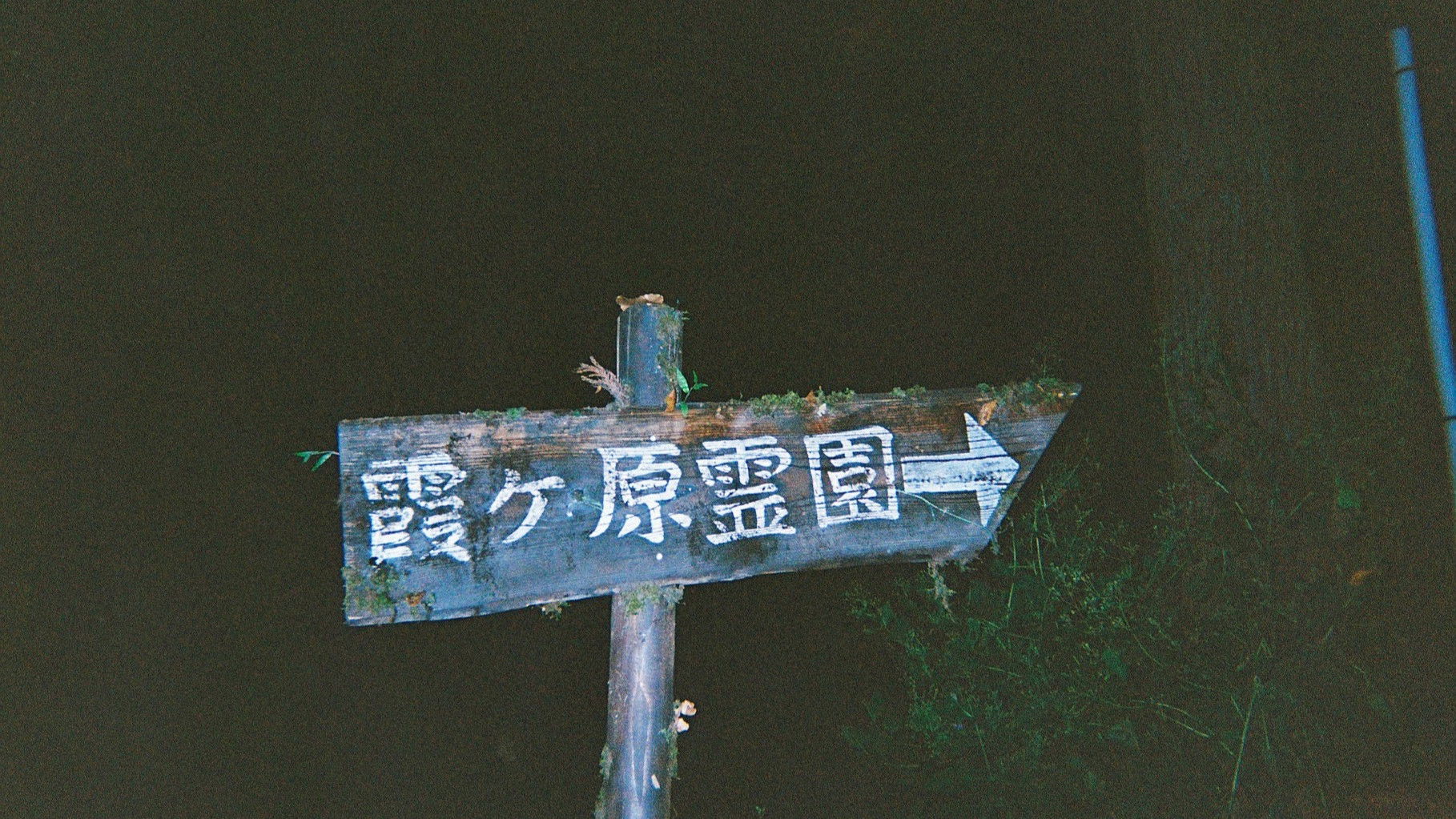 Kuchi ni Kansuru Ankēto