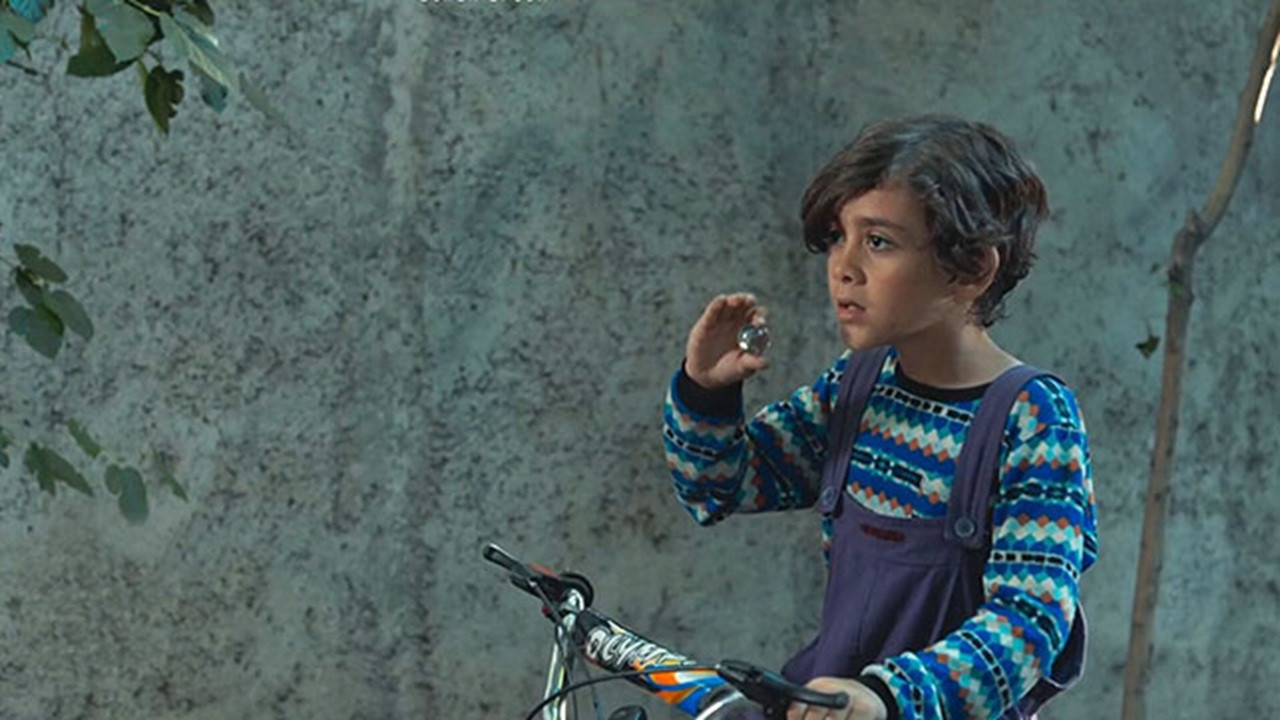 Land of The Dead Deer