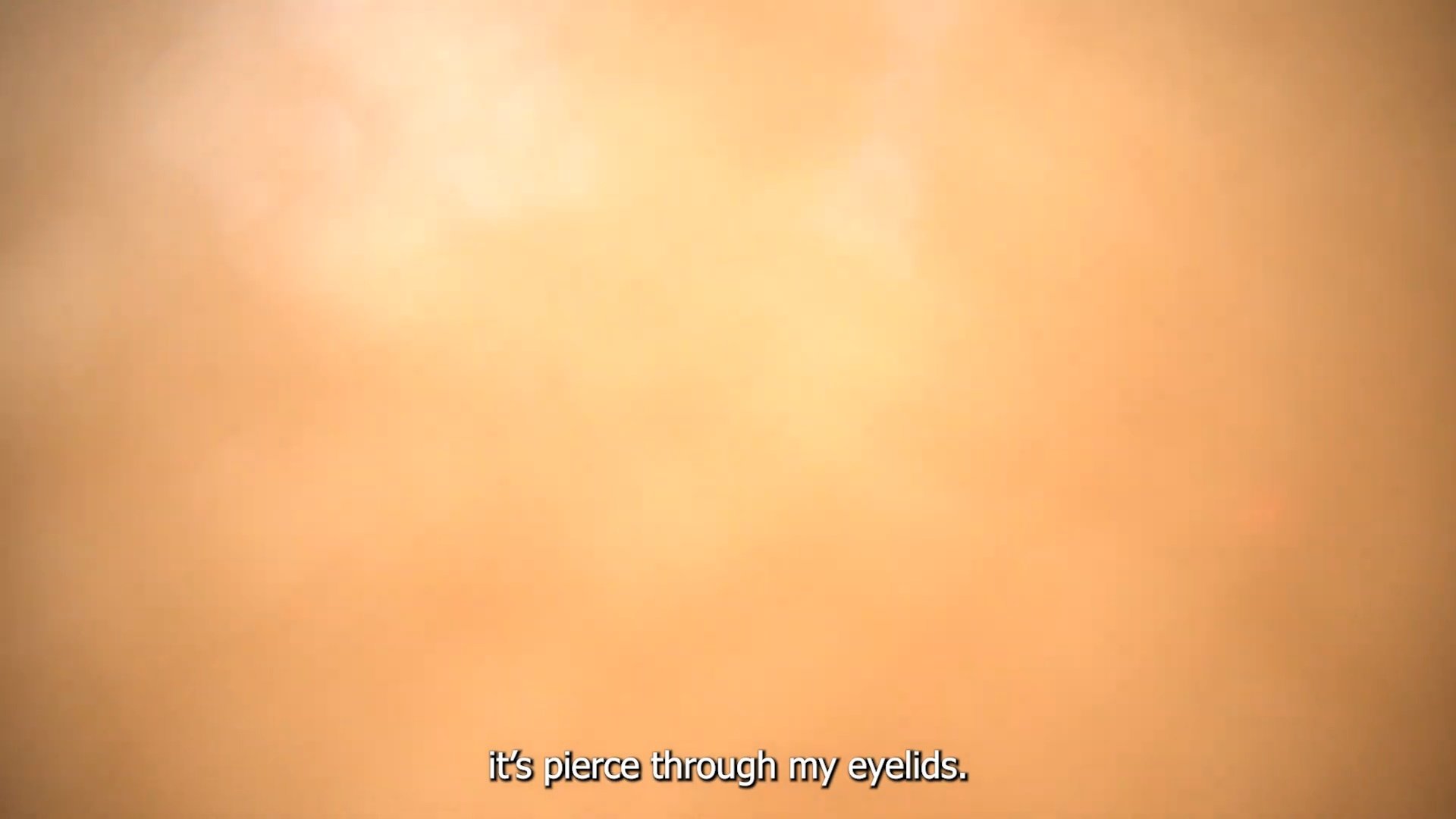 My Diary Does Not Exist