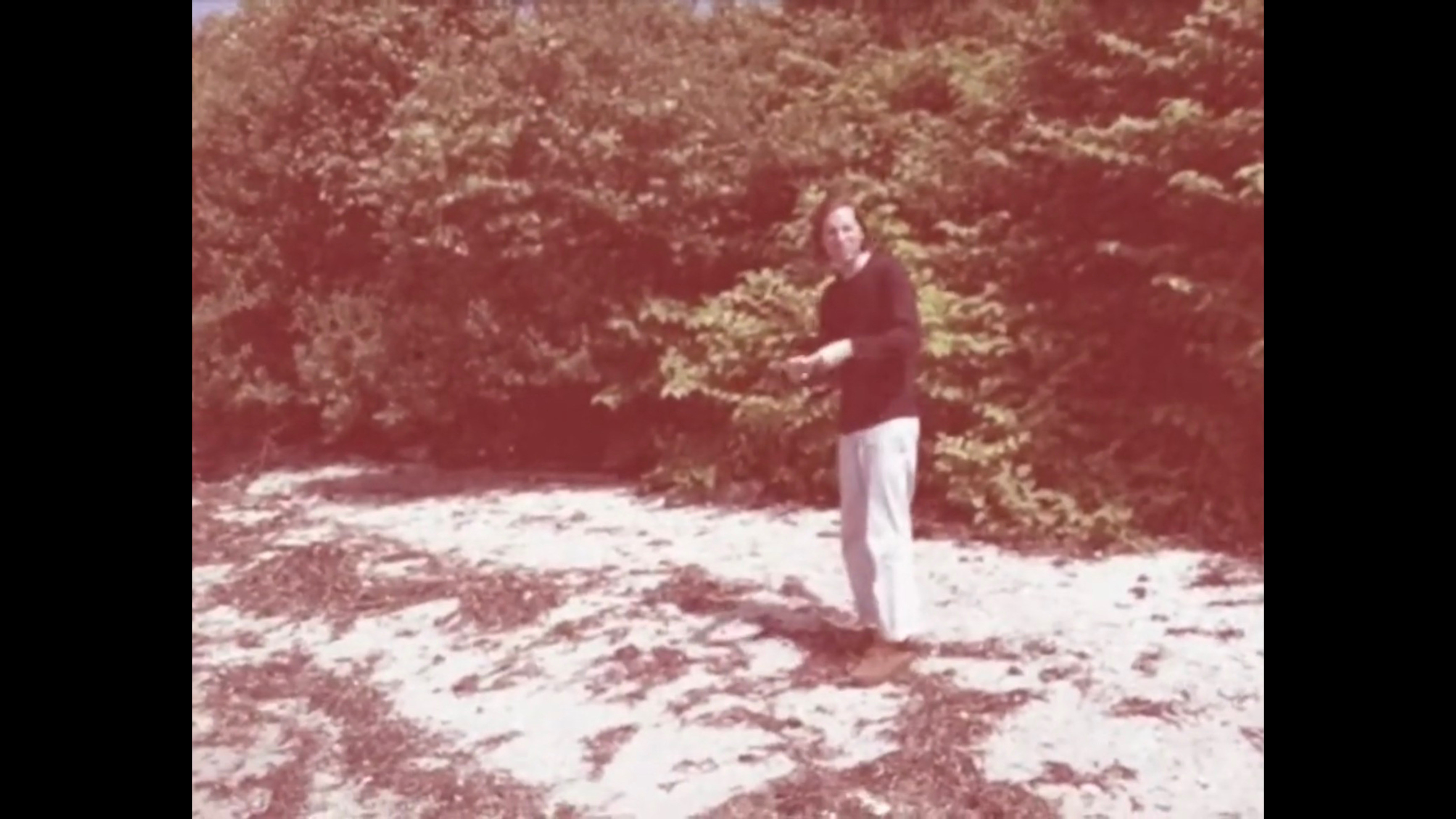 Moonrise Kingdom Extras - Eleven iPhone Videos by Edward Norton.