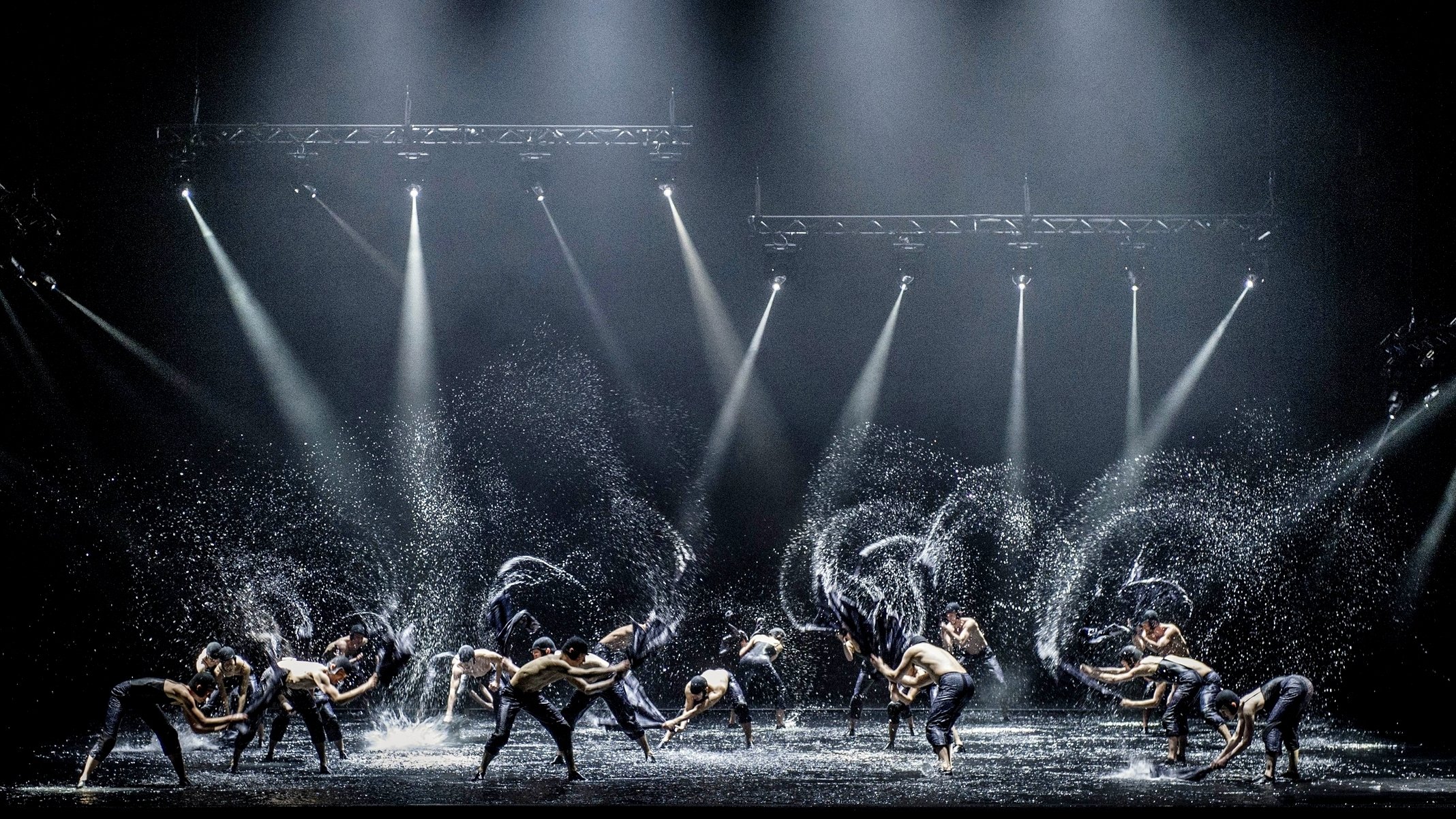 A Swan Lake