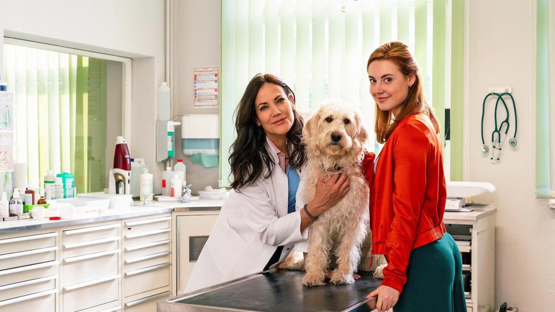 Zwei Frauen für alle Felle - Neuanfang