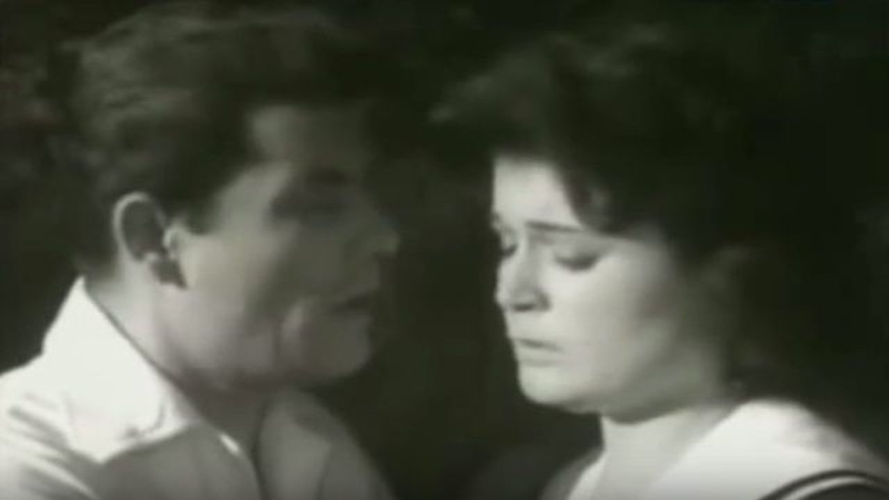 Bufakkar filli nassini