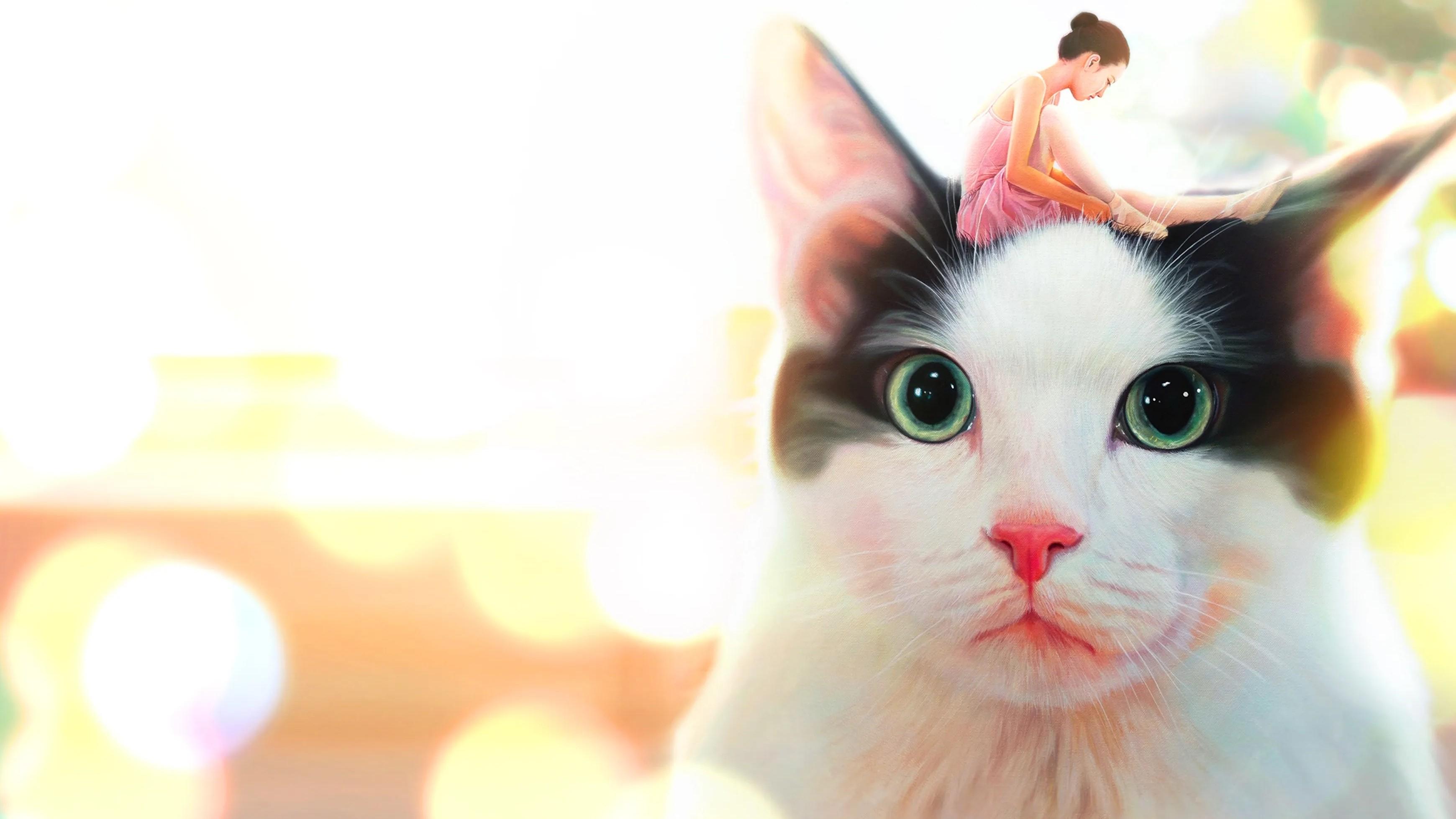 Hello, My Cat