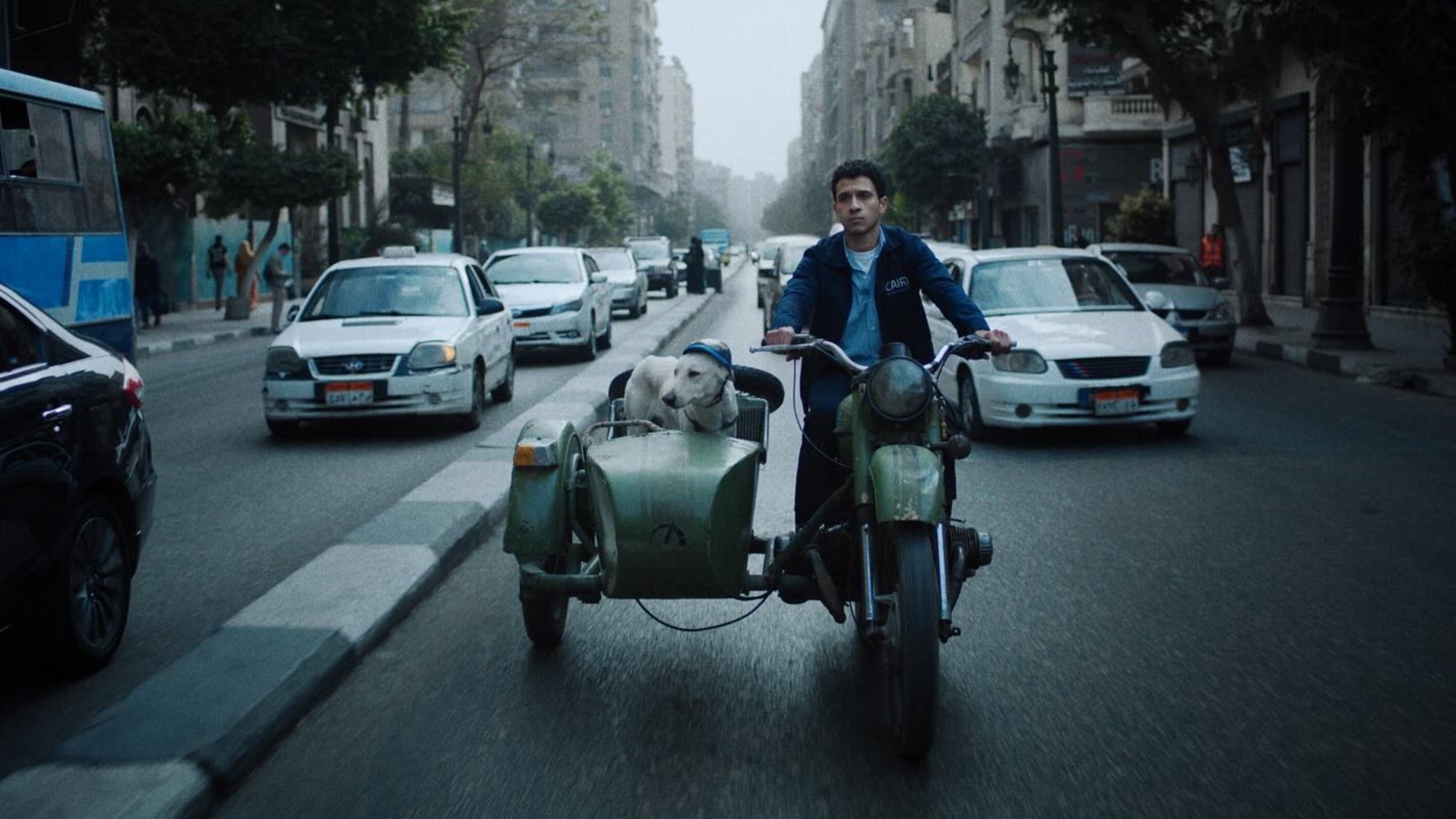 Seeking Haven for Mr. Rambo