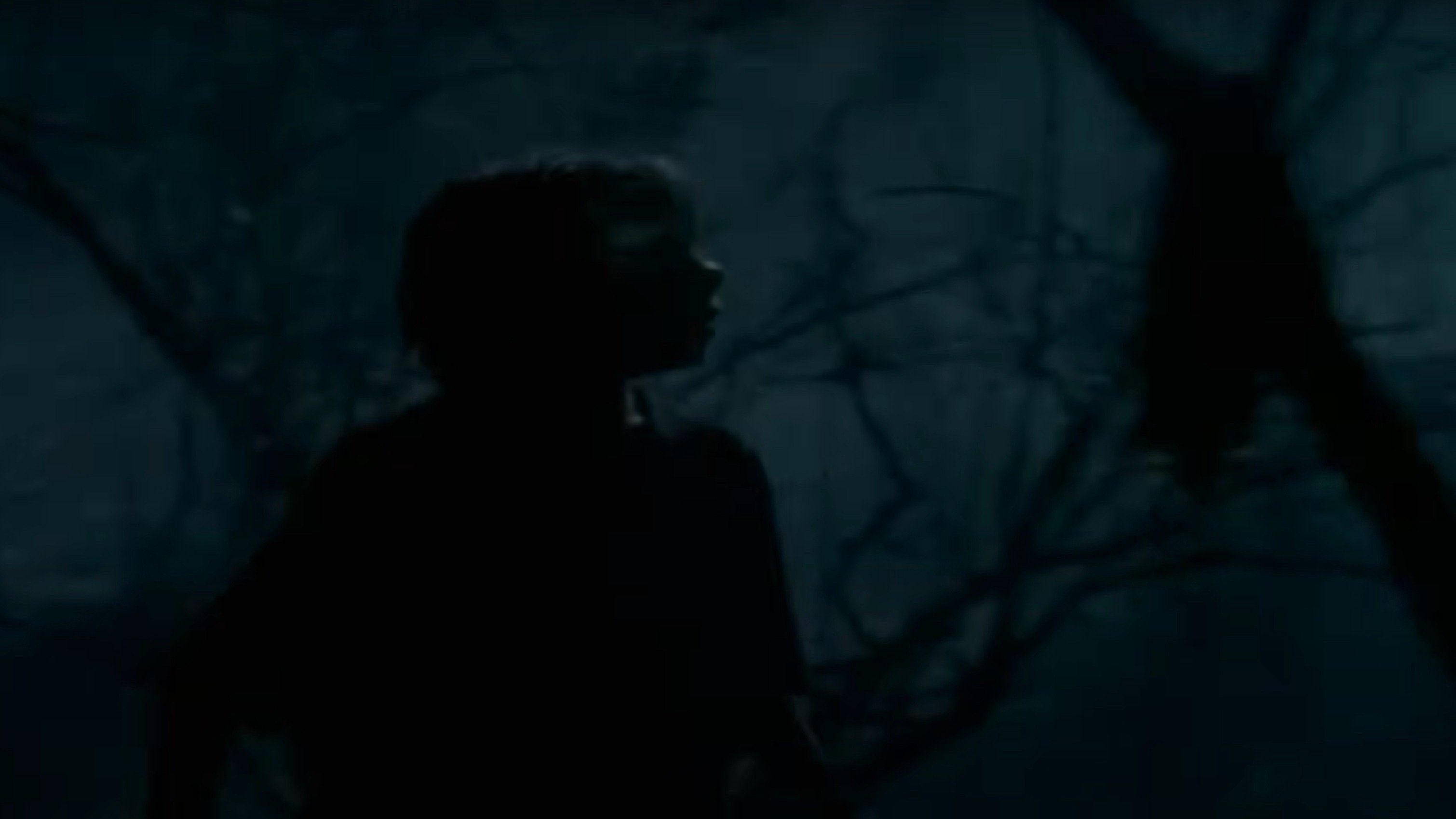 The Werewolf of Fever Swamp