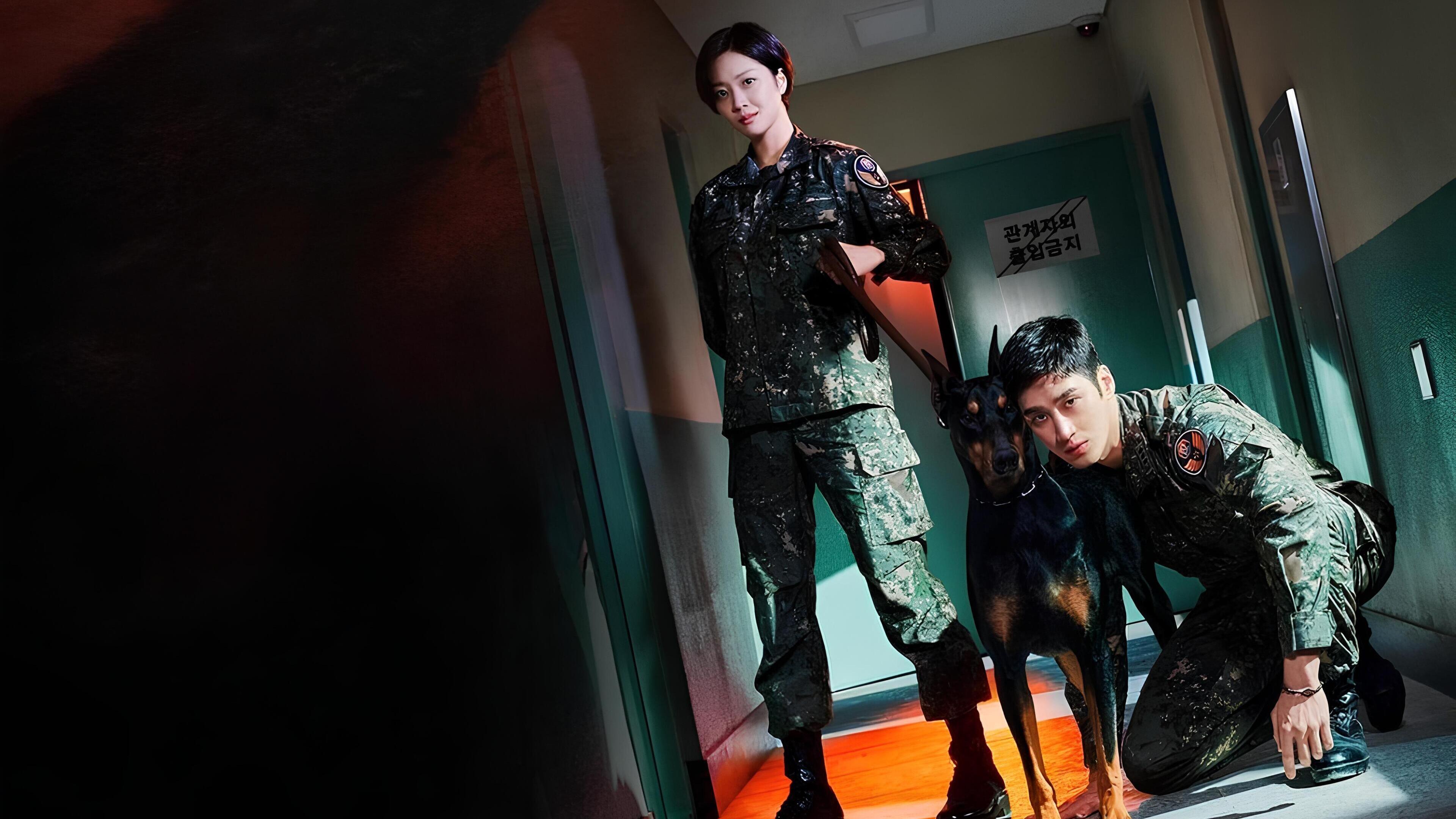 Military Prosecutor Doberman