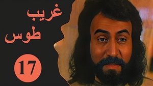 Episode 17