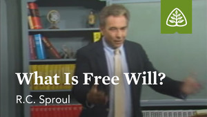 What is Free Will?