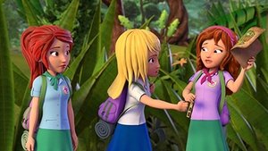 Friends of the Jungle