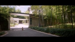 Episode 26