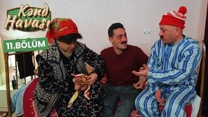 Episode 11